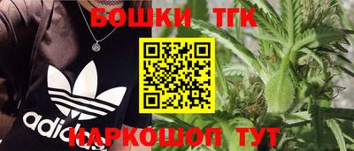 индика Гусиноозёрск