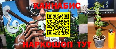 индика Гусиноозёрск
